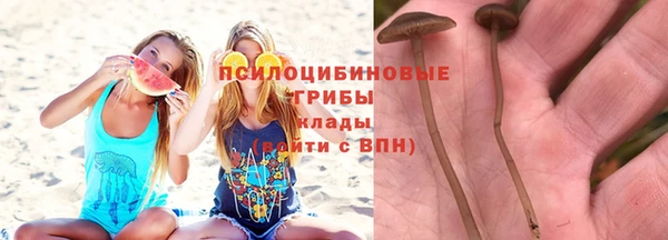 дмт Балабаново