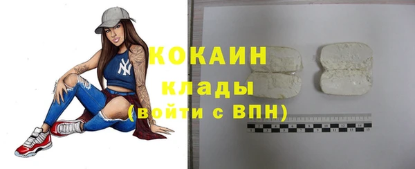 гашик Аркадак