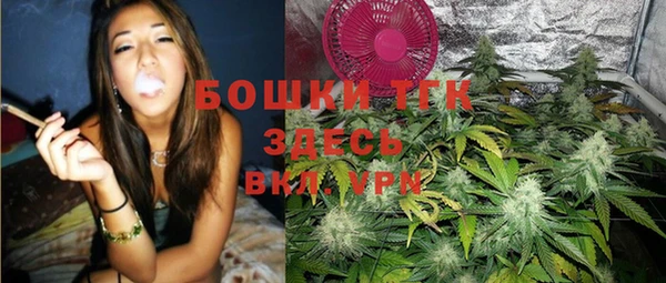 гашик Аркадак