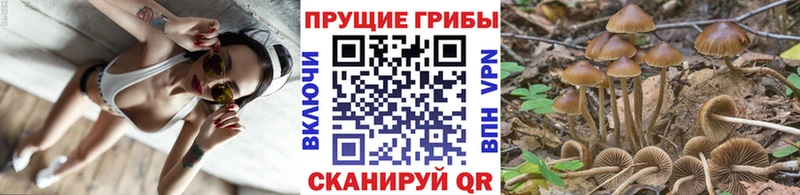 Псилоцибиновые грибы мухоморы  Зеленодольск 